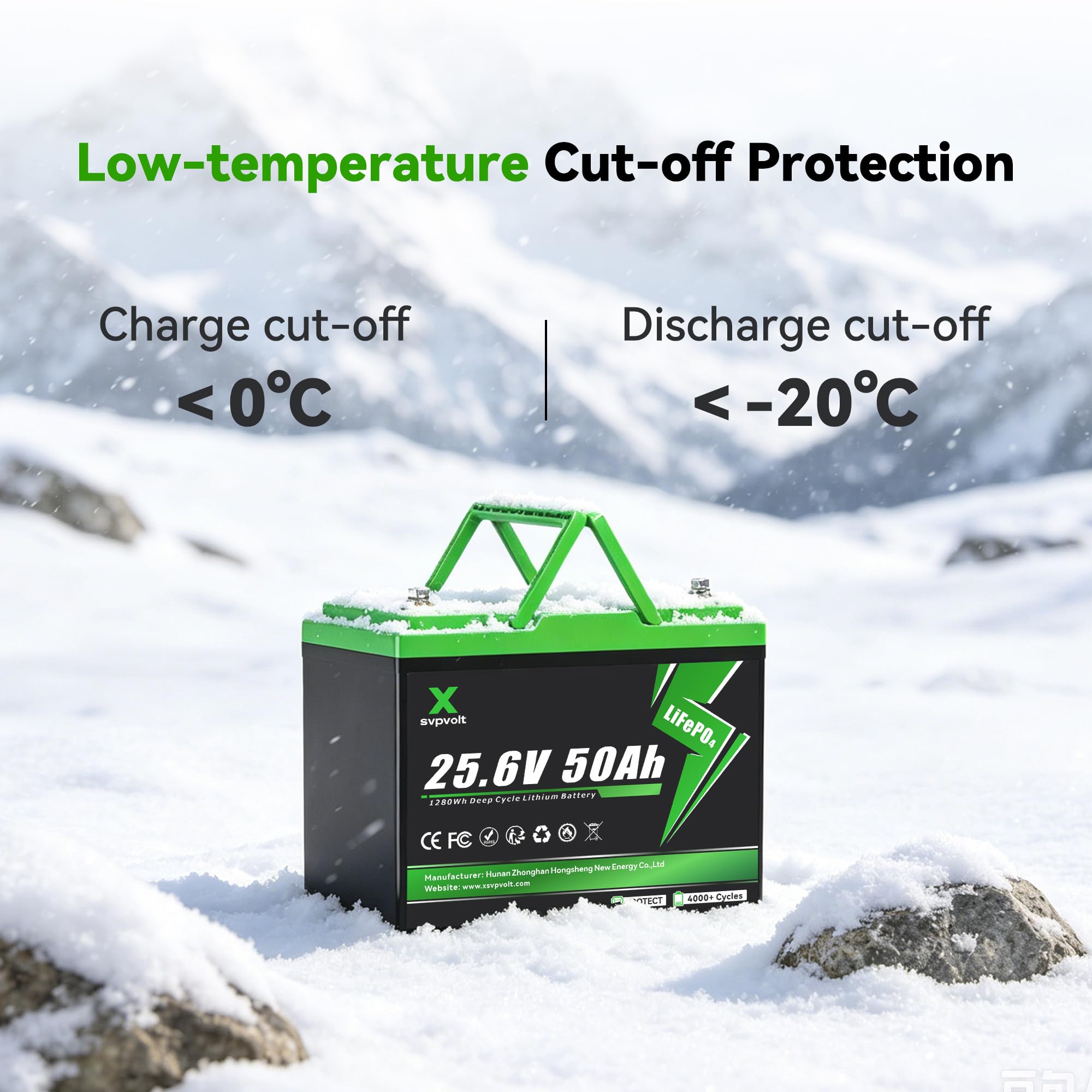 Batteria LiFePO4 24V 50Ah