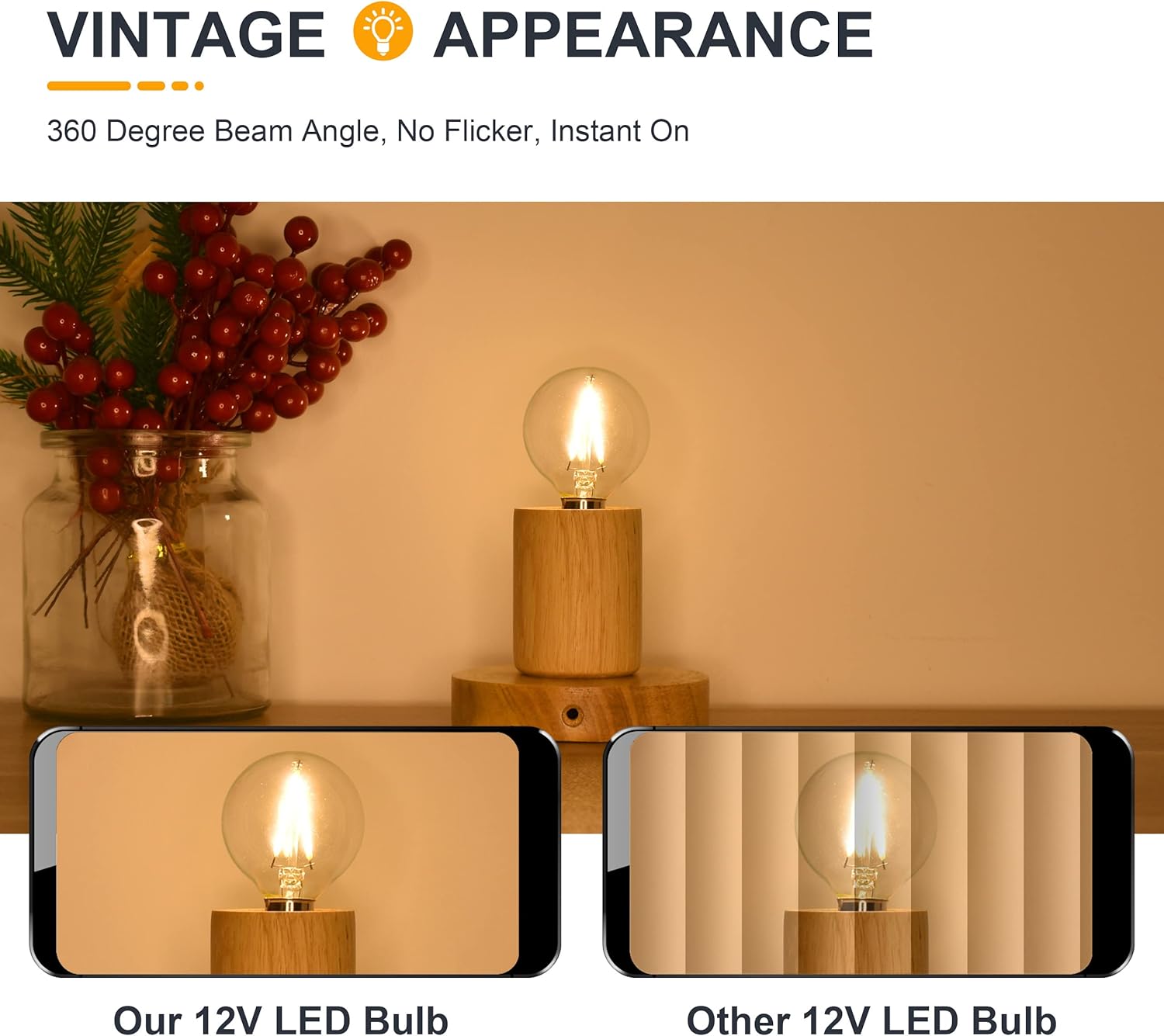 12V Low Voltage LED Light Bulbs - Soft Warm 2700K 2W (Only for 12 Volt DC/AC)- 25W Equivalent E12 Candelabra Base Small Globe Bulb for RV, Camper - 3 Pack