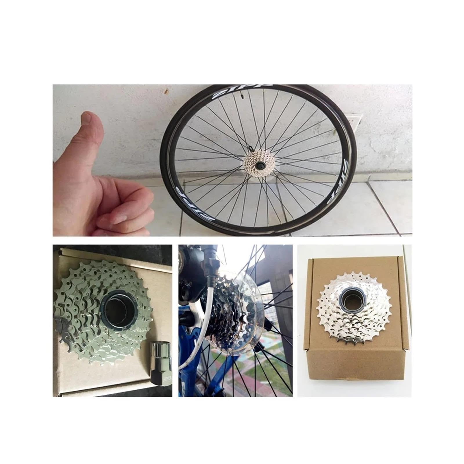 Genérico Piñón de Rueda Libre 7S 11-28T, Acero cromoly