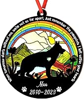 Vista 50 de Adorno de atrapasoles de setter irlandés personalizado, adorno de Navidad de Setter irlandés, regalo para perro amante, setter irlandés