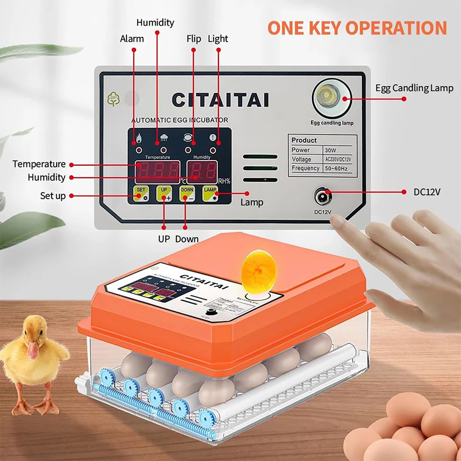 Incubadora de 9 huevos, Nacedora automática digital, Nacedora de pollos, aves de corral, Nacedora de huevos con control automático de temperatura, para pollo, pájaro, codorniz, pato