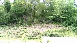 Review Image by CHRISTOPHER L REINER CHRISTOPHER L REINER