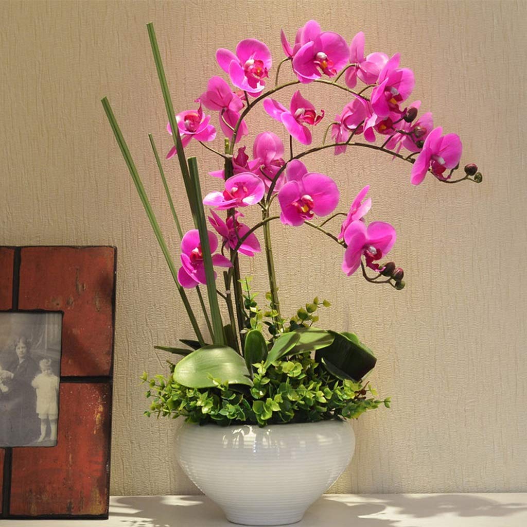Phalaenopsis artificiel réaliste pour remplacer les fleurs fanées dans votre vase