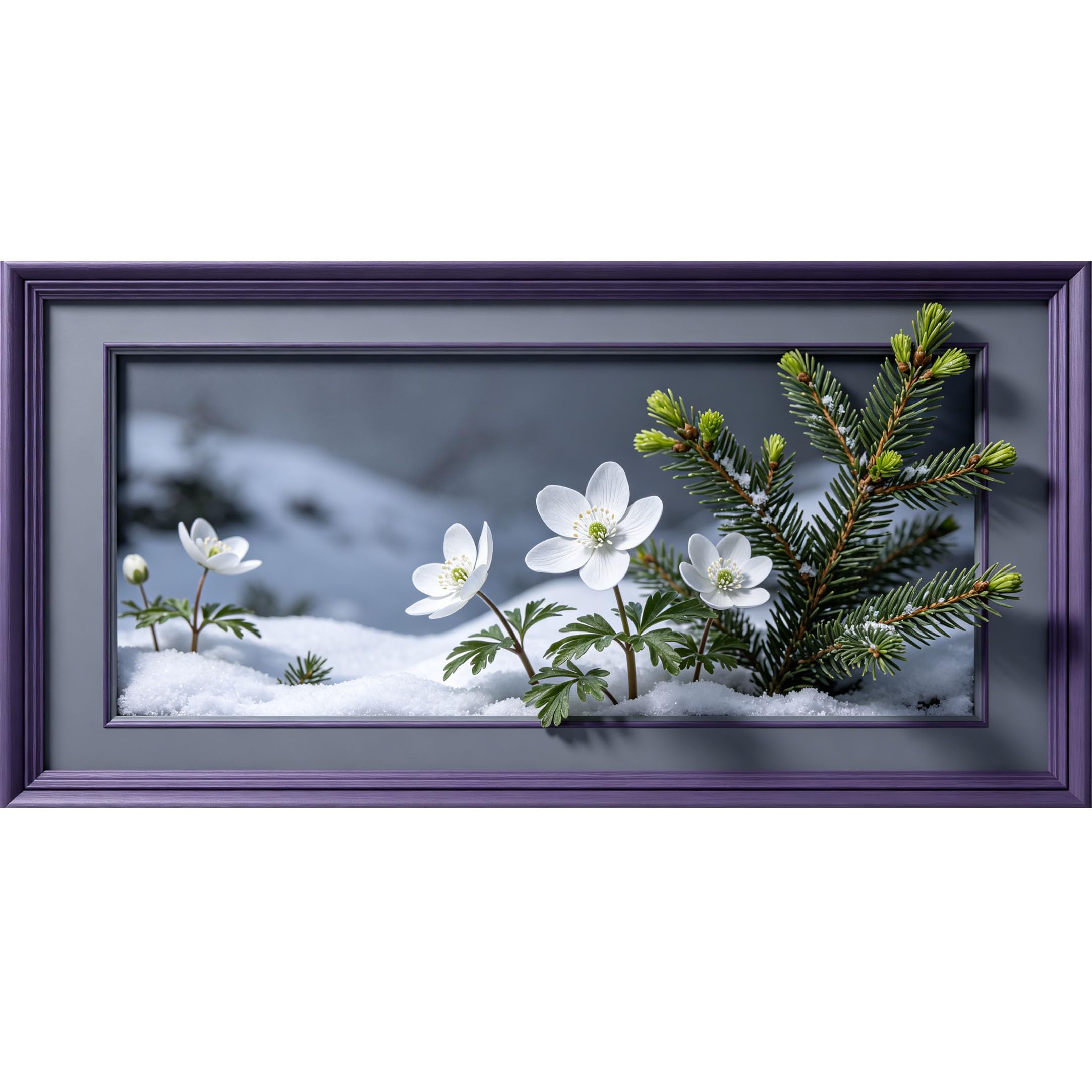 Agglomerix 3D Framed Wall Art Winter White Anemone Pine Branch Snow Botanical Modern Large Size SelfAdhesive Removable Wall Decor Prints Artwork for Living Room Bedroom Office