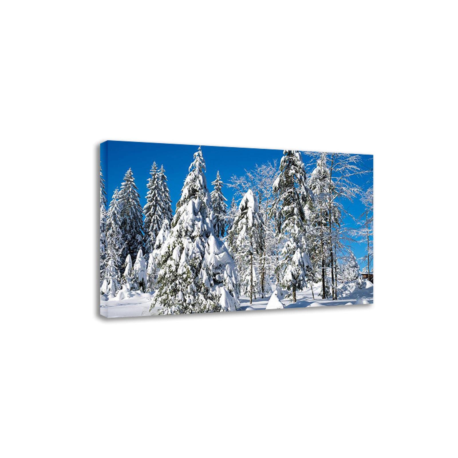 Amazon.co.jp: 冬の風景画-モミの木のある雪の冬の風景-キャンバスに