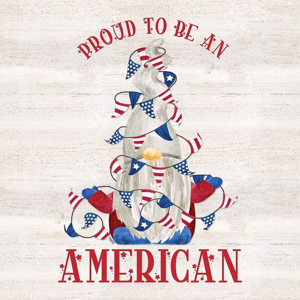 Patriotic Gnomes Vi-American by Tara Reed - 16x16 Art Print Poster