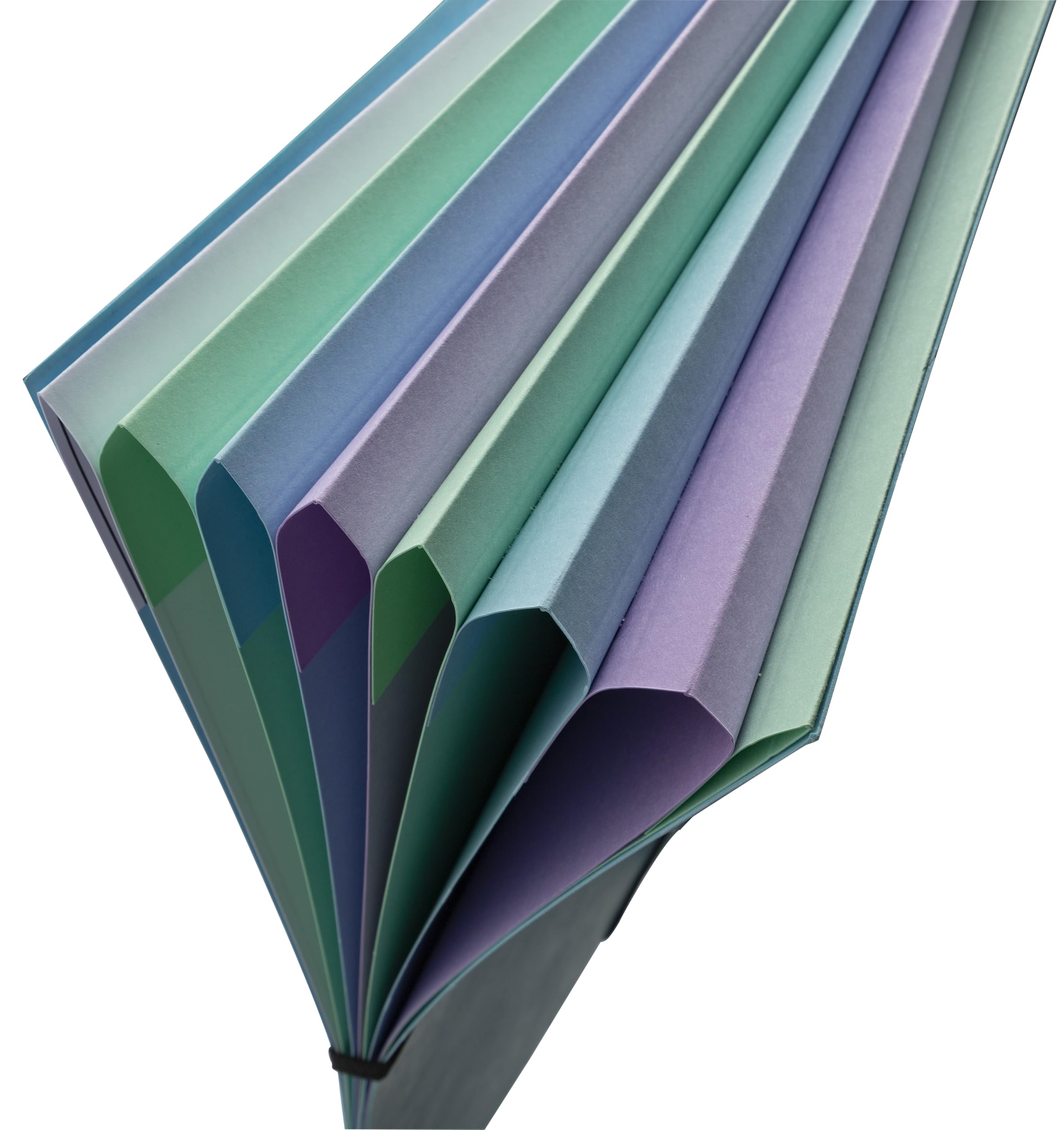 Exacompta - Rif. 56562E - Cartone da 8 raccoglitori Harmonika con elastici a 7 scomparti, A4, colore blu pastello