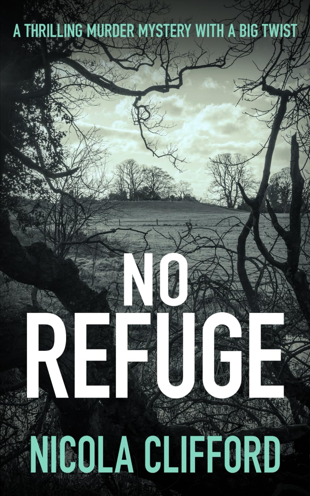 No Refuge: A thrilling murder mystery with a big twist (The Welsh crime mysteries)