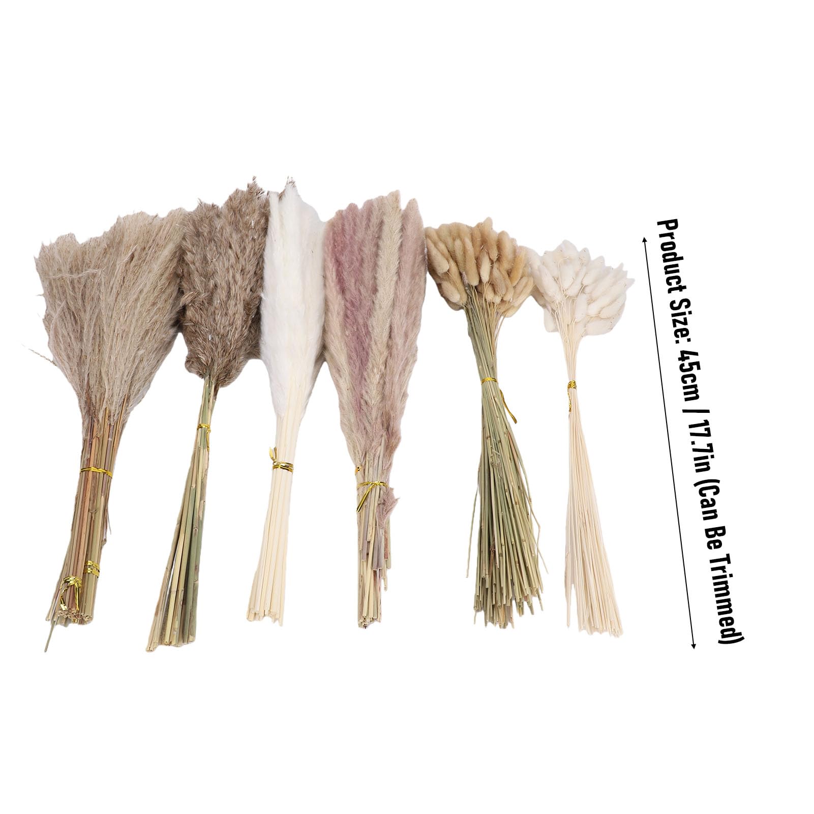 Bouquet di fiori secchi Boho da 330 pezzi, di pampa coda di coniglio piante secche riempitivo per vasi fiori nuziali per matrimoni, decorazioni per feste Boho e decorazioni per la
