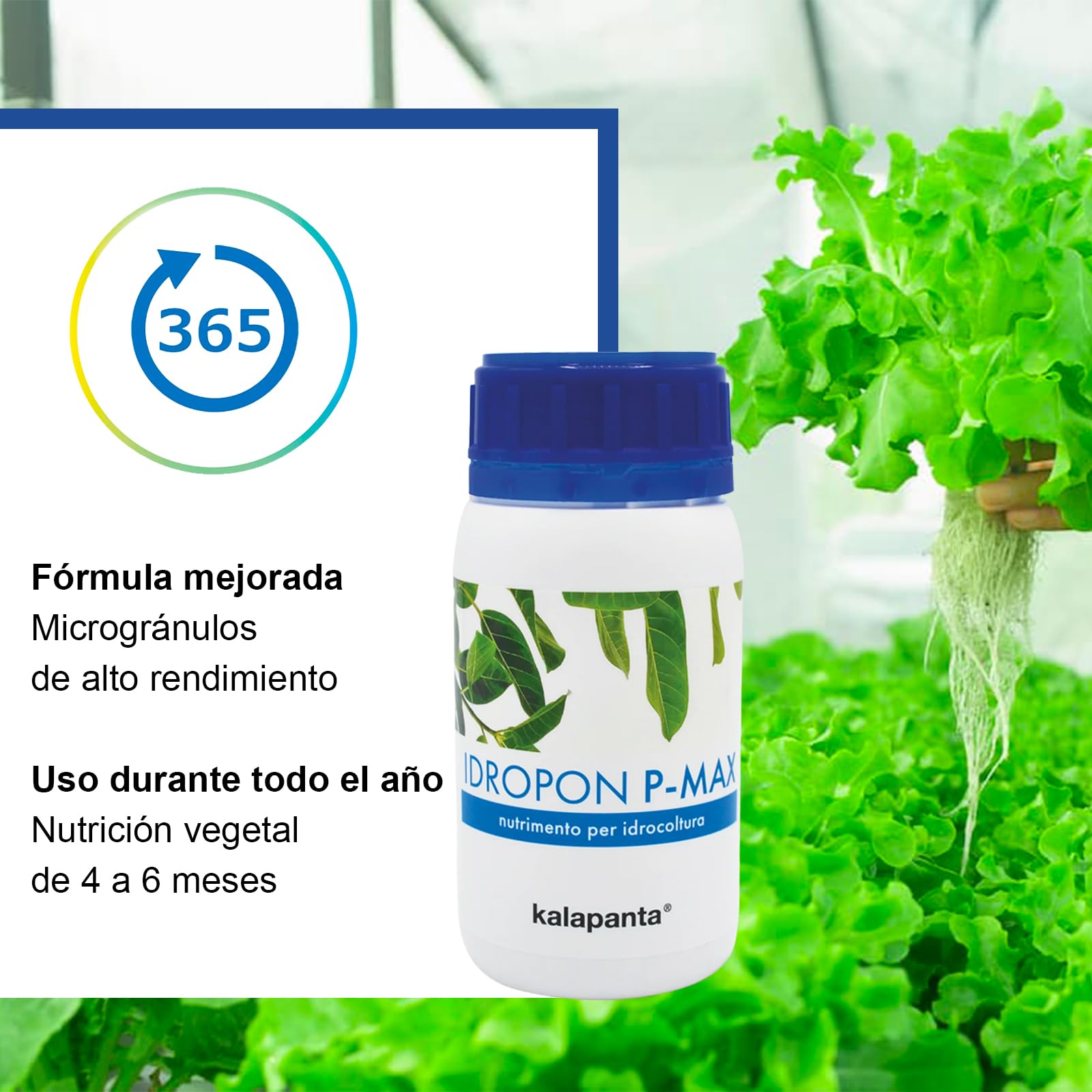 Kalapanta -IDROPON P-MAX abono plantas específico para hidrocultivo y hidroponica estimula el rápido crecimiento natural de las raíces, abono granulado, Envase individual, 1 unidad