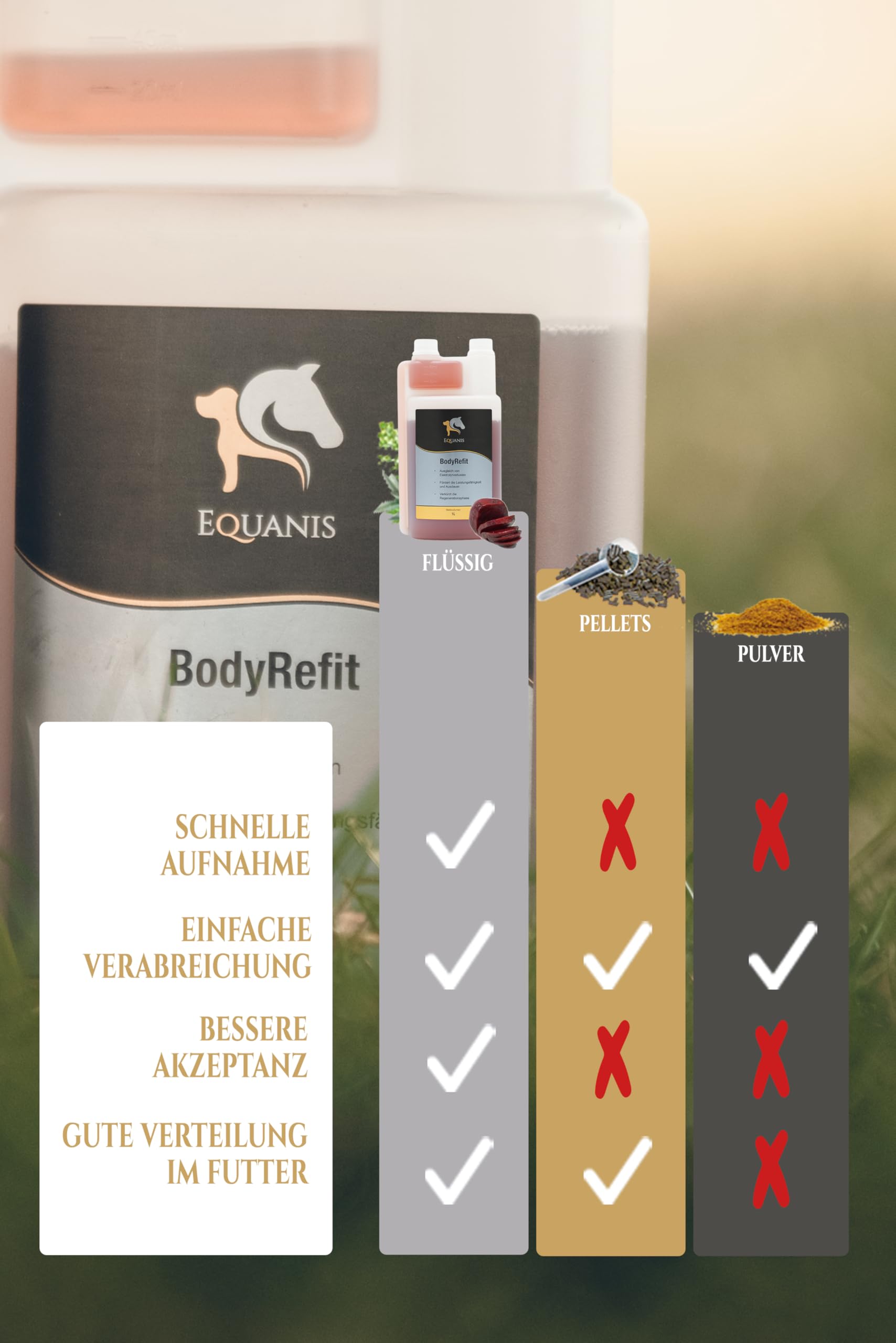 Equanis BodyRefit - Elektrolyte für Pferde in Premium-Zusammensetzung. Kann einen Elektrolytmangel nach starken Schwitzen vorbeugen. Mit RoteBeete anstatt Zuckerzusätze