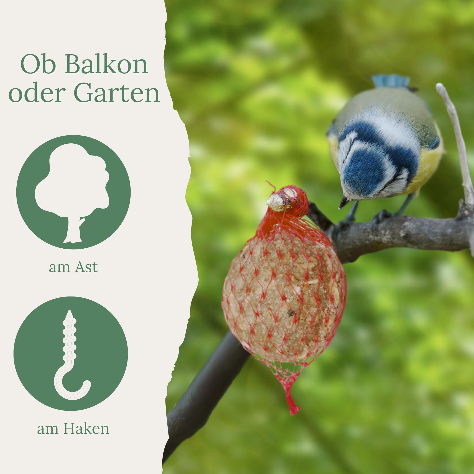 Orni 100 Stück Insektenknödel mit Netz | Leckere Meisenknödel mit Insekten für heimische Wildvögel | ganzjährig für Frühling, Sommer, Herbst und Winter | Fettfutter zum Aufhängen
