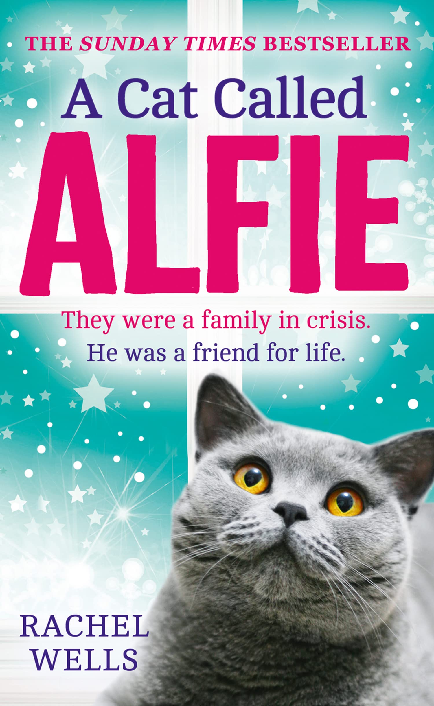 A Cat Called Alfie: A Heartwarming Contemporary Novel About a Very Special Animal Hero: Book 2 (Alfie series)