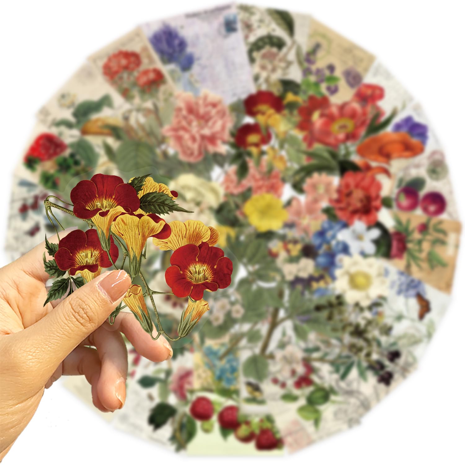 50Pcs Vintage Plant Stickers Pack, Waterproof PET Aesthetic Flowers & Nature Stickers for Scrapbook Journaling, Kindle Case - Image 2