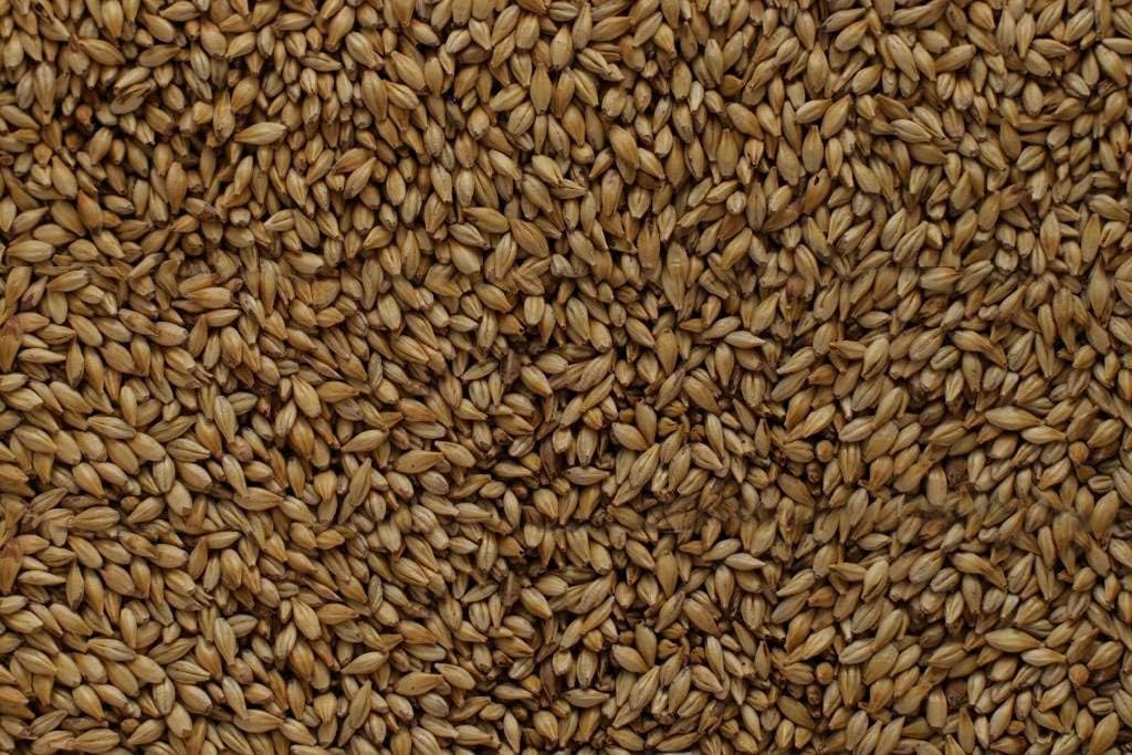 Briess GS520 Malt Caramel 20L (50 lb Sack)