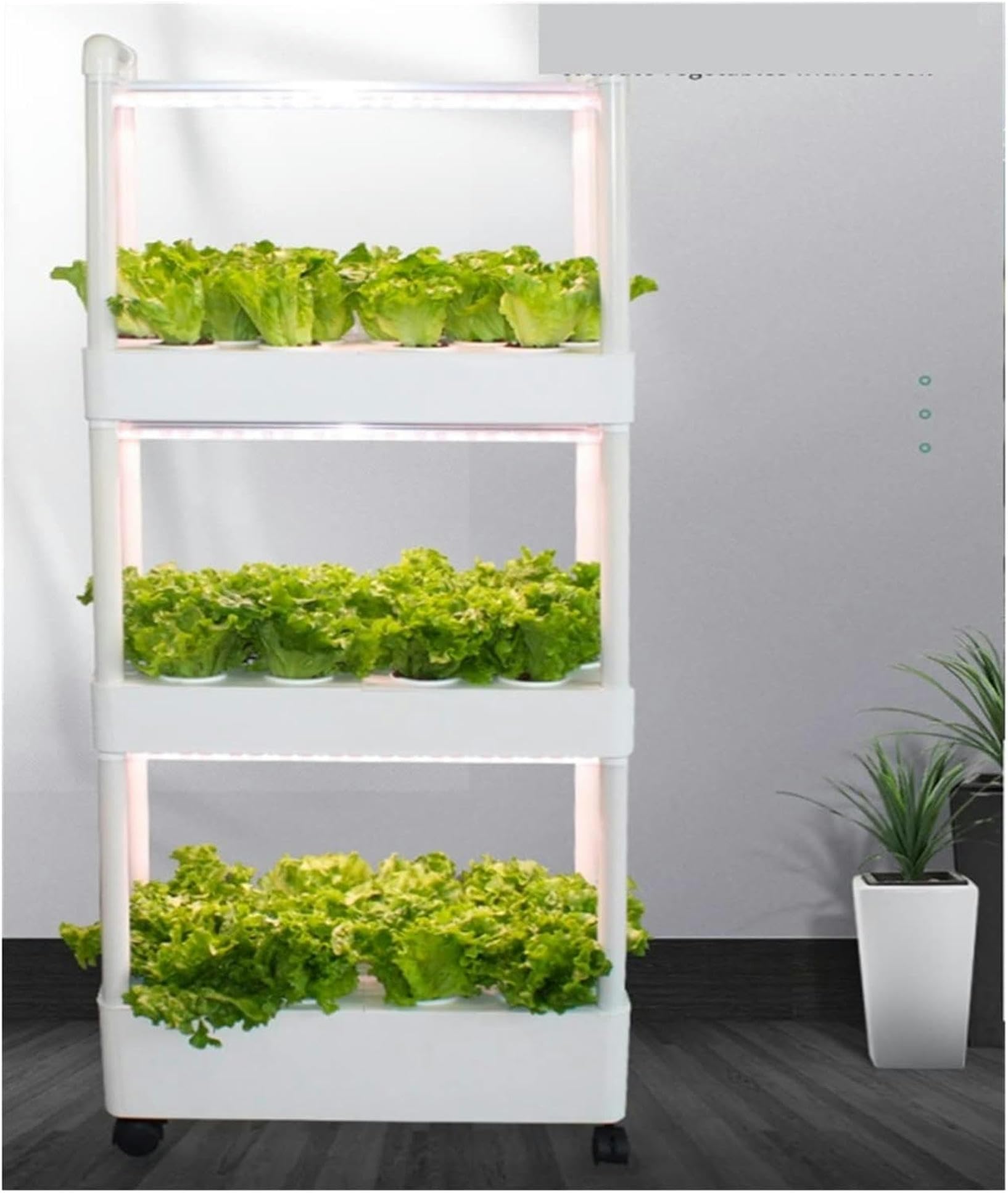 水耕栽培キット アスパラガーデンLITE ジャンク