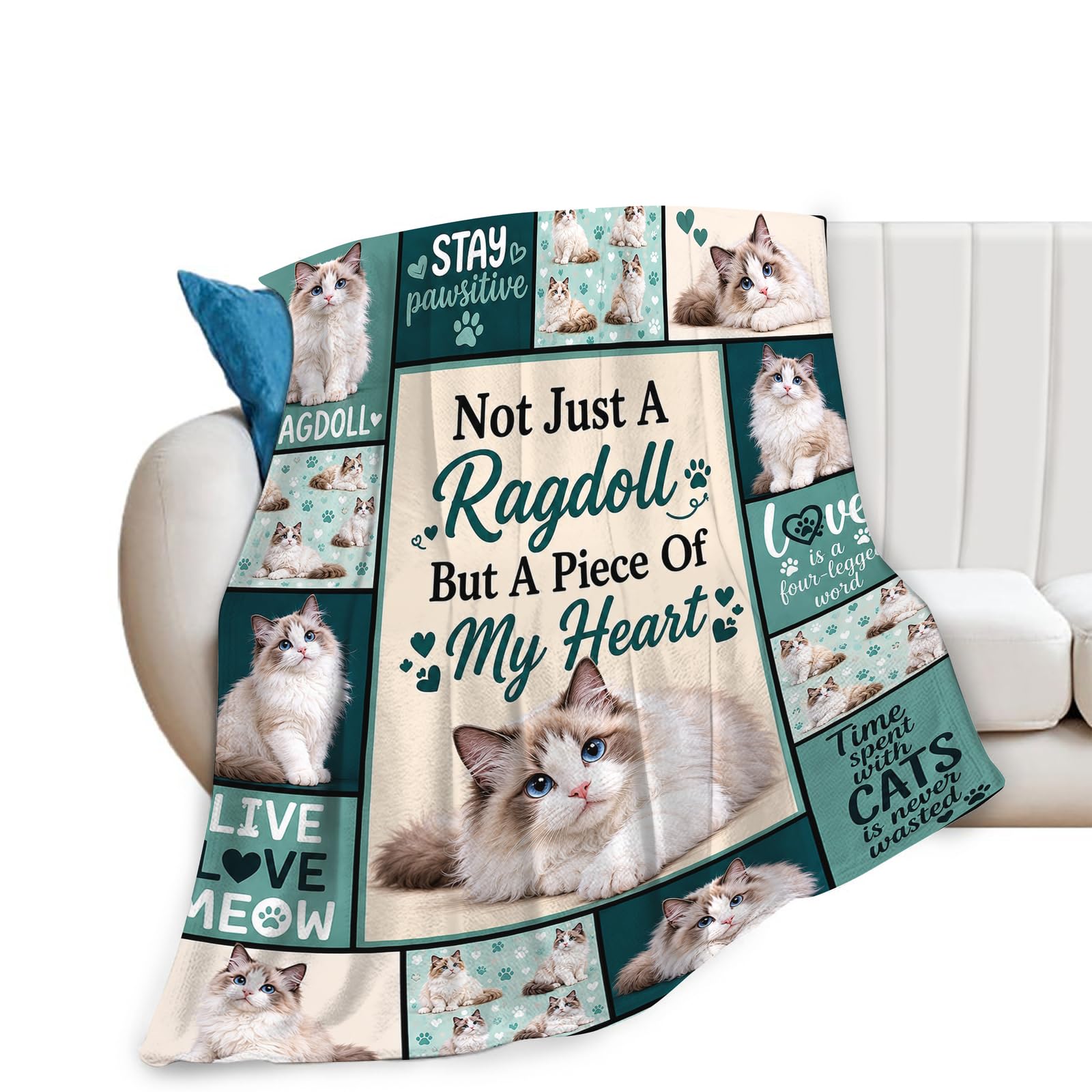 Tijuboni Ragdoll Throw Blanket Gift for Girl 50"X40"