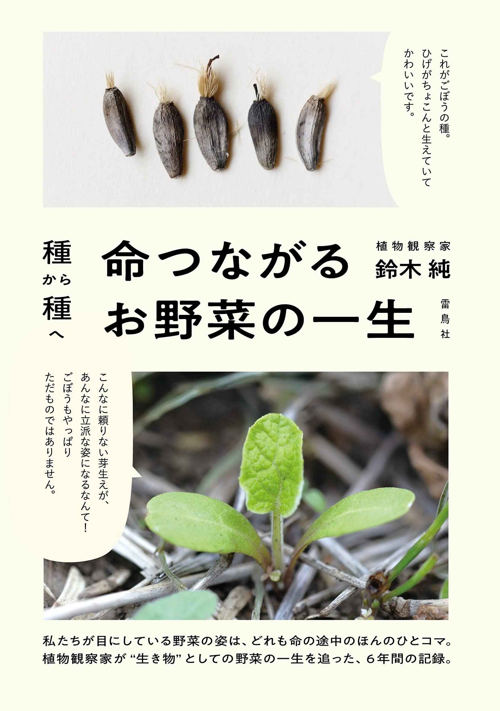 種から種へ 命つながるお野菜の一生 鈴木 純 鈴木 純 本 通販 Amazon