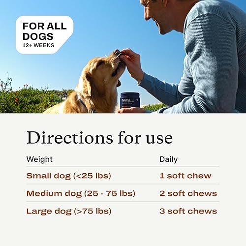 Miniatura 6 de PetLab Co. Probióticos para alergias e inmunidad para perros, apoyo para alergias estacionales, salud intestinal y digestiva - Sabor a cerdo - 30