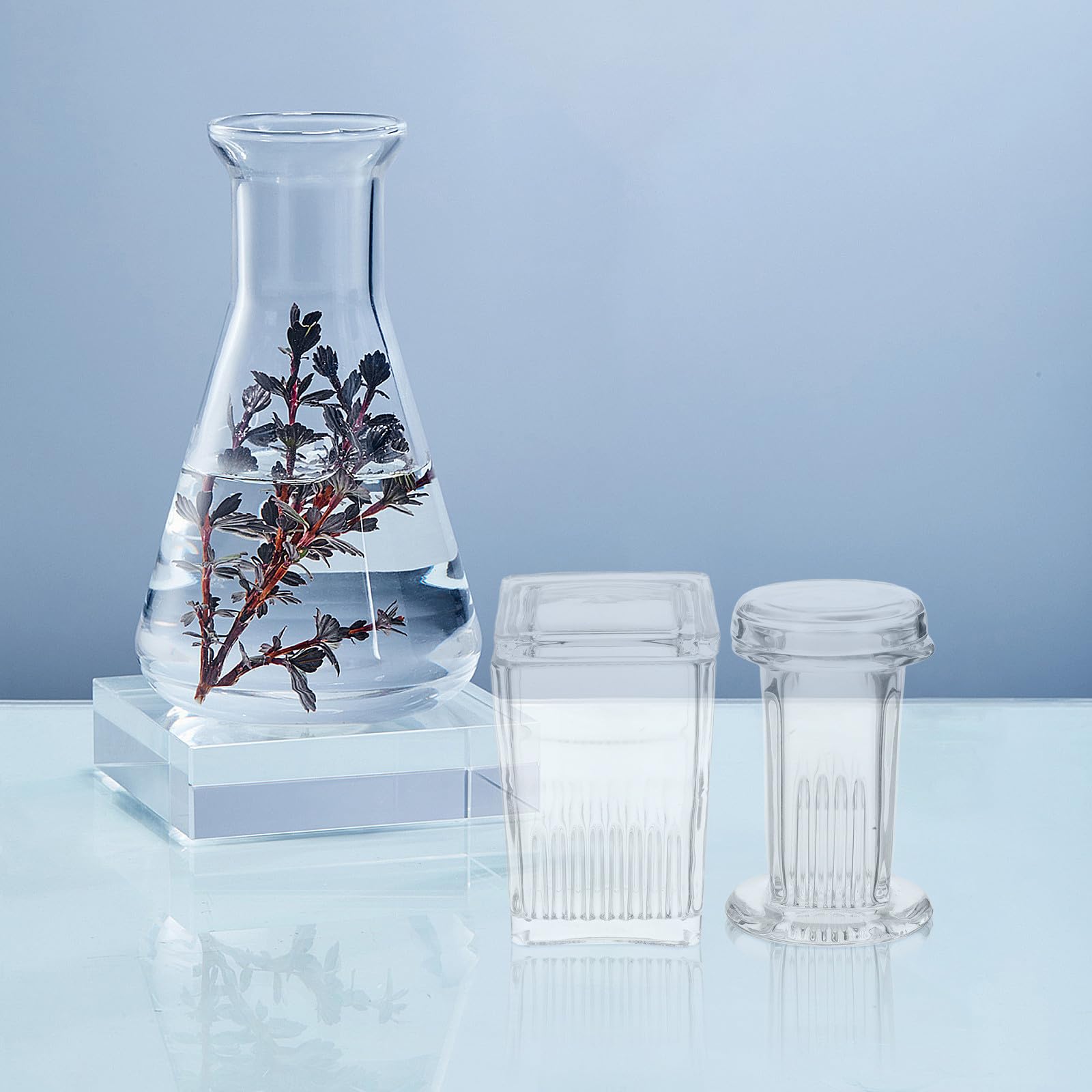 Zerodeko Glas Färbegefäß Hochtransparentes Glas mit Deckel Vertikales Design 2 Stück für 5 Objektträger für Labor Färbeexperimente