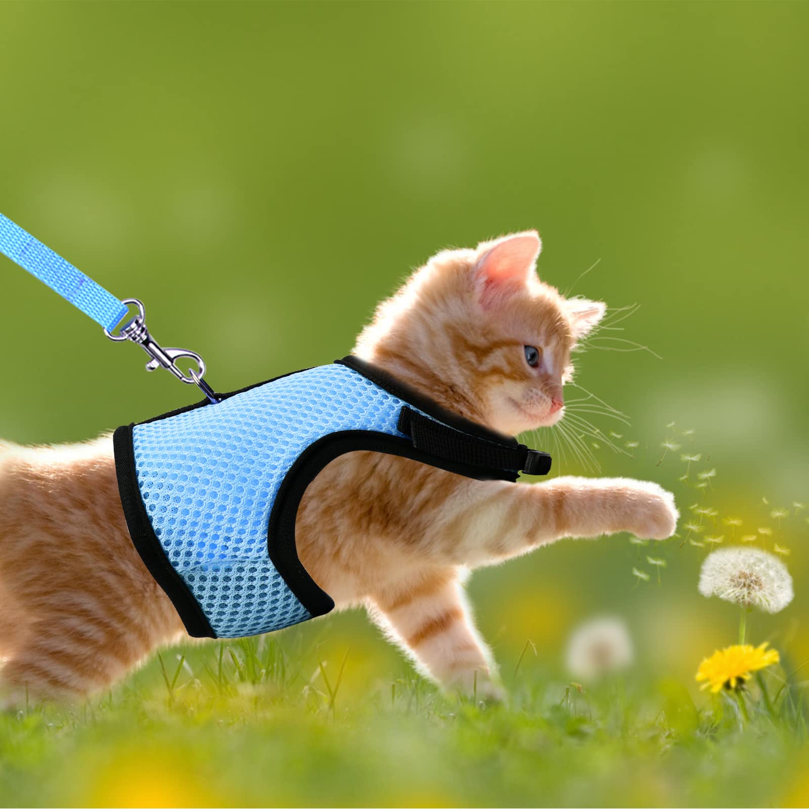 Harnais Lapin Réglable, Laisse Élastique Gilet Souple avec Corde de Traction pour Lapins et Cochons d'Inde (Bleu, S)