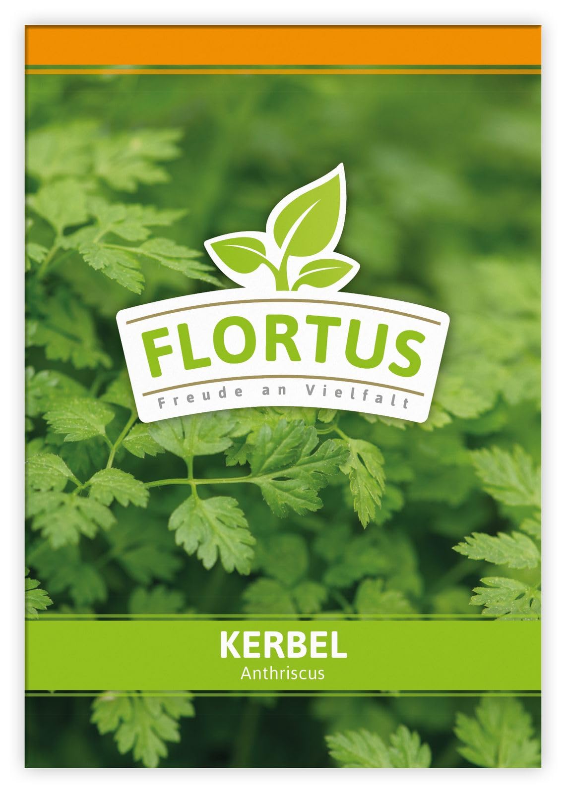 FLORTUS 2000-0057-100x Kerbel (100 Tütchen) (Kerbelsamen)