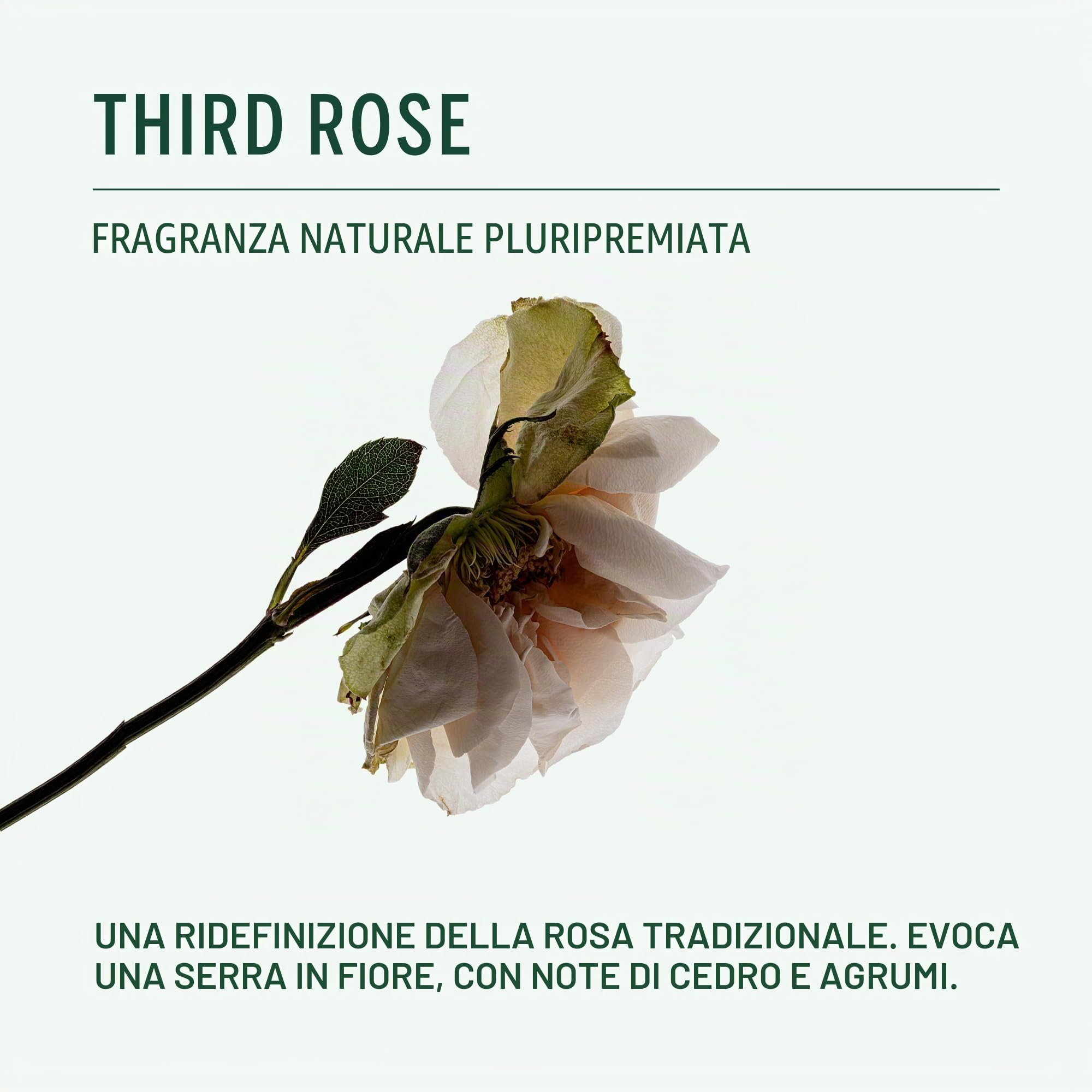 Corpus Deodorante stick naturale – Third Rose – Deodorante a base vegetale di alta qualità per donne e uomini, senza alluminio, cruelty-free e vegano, formula a base di gel, protezione a lunga durata