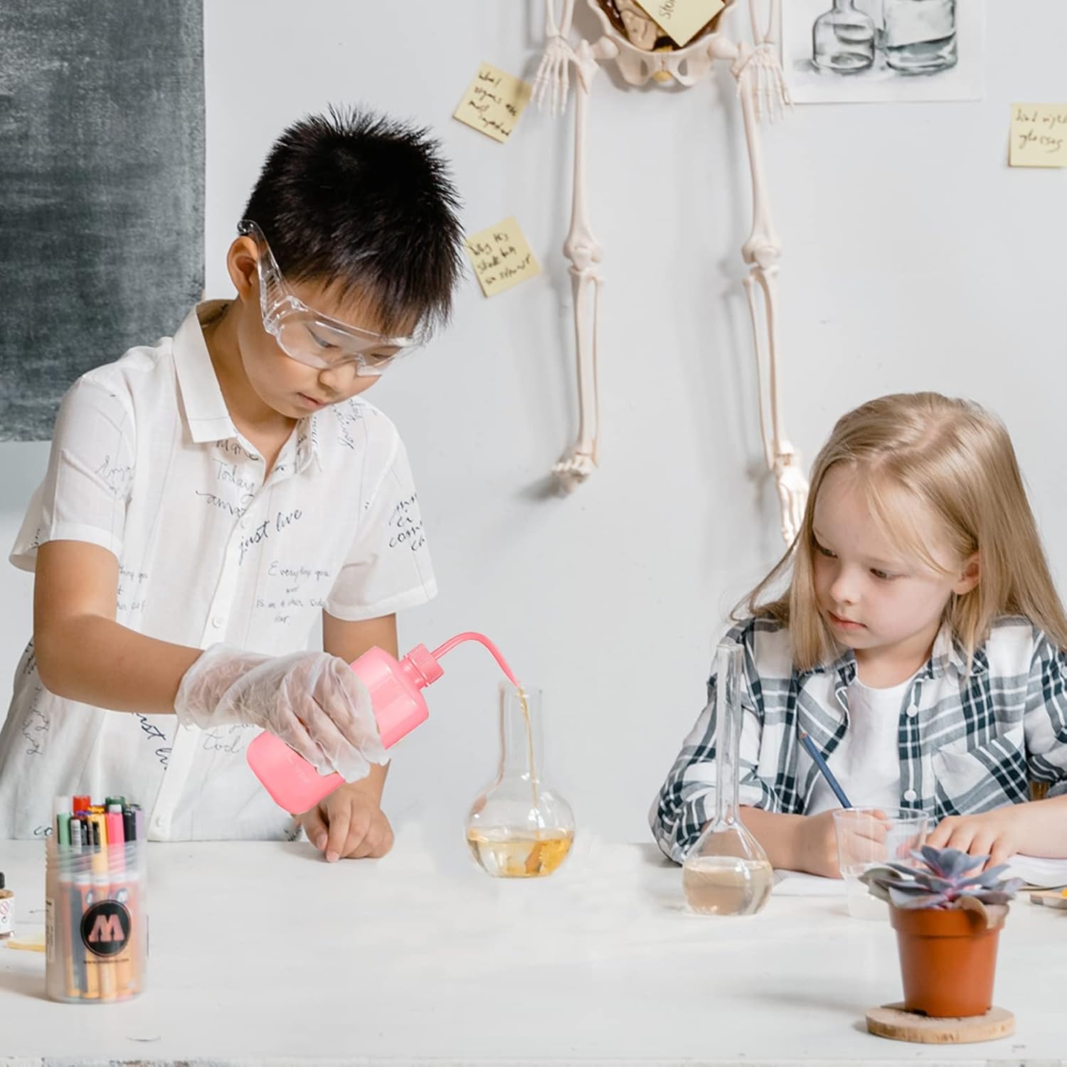 Best Watering Cans For Succulents Guide)