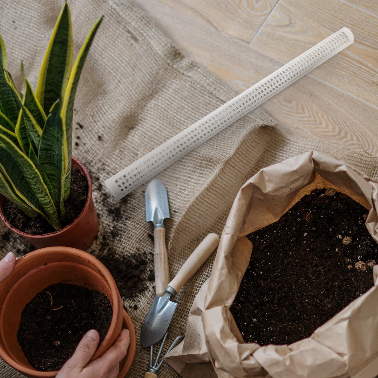 Amazon | Milisten モスポール 50cm 2本セット 水苔支柱 プラスチック