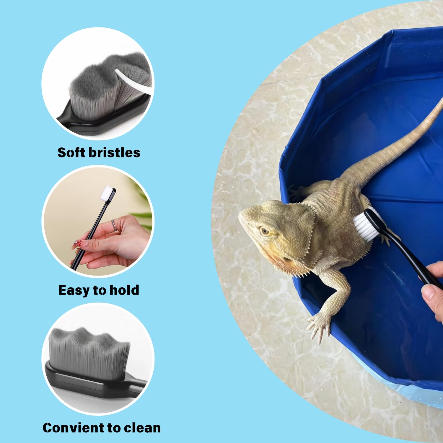 Foldable Bearded Dragon Bathtub with 2Pcs Reptile Mini Swimming Rings & Pump and 1Pcs Soft Brush, Bearded Dragon Accessories, Small Pet Bath Accessories (Blue)