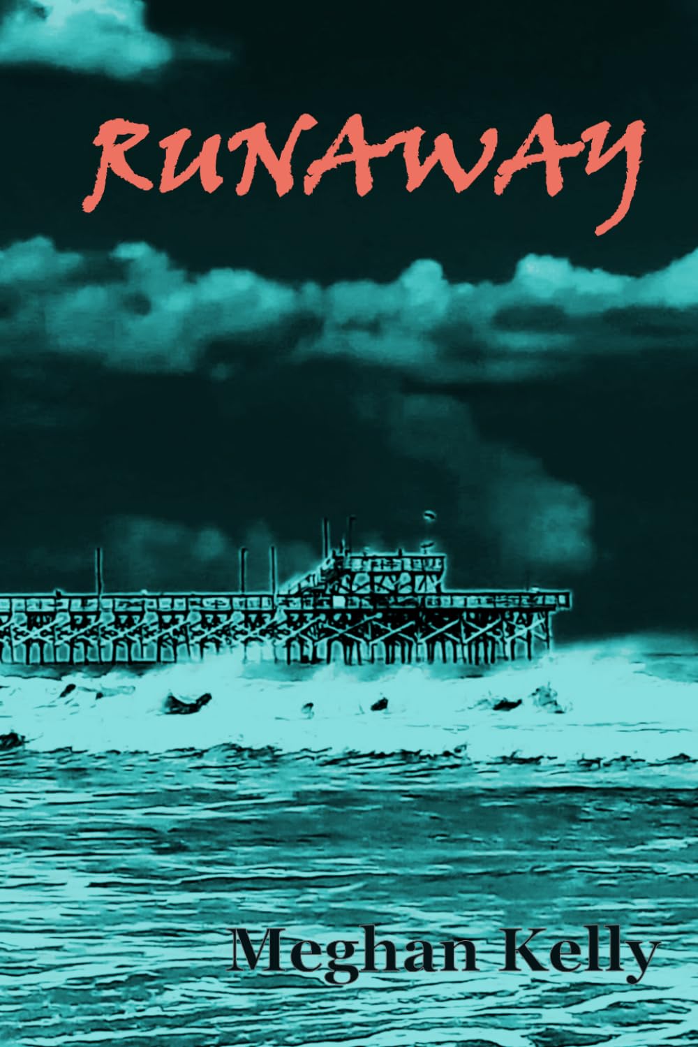 Runaway (The Haven Series)