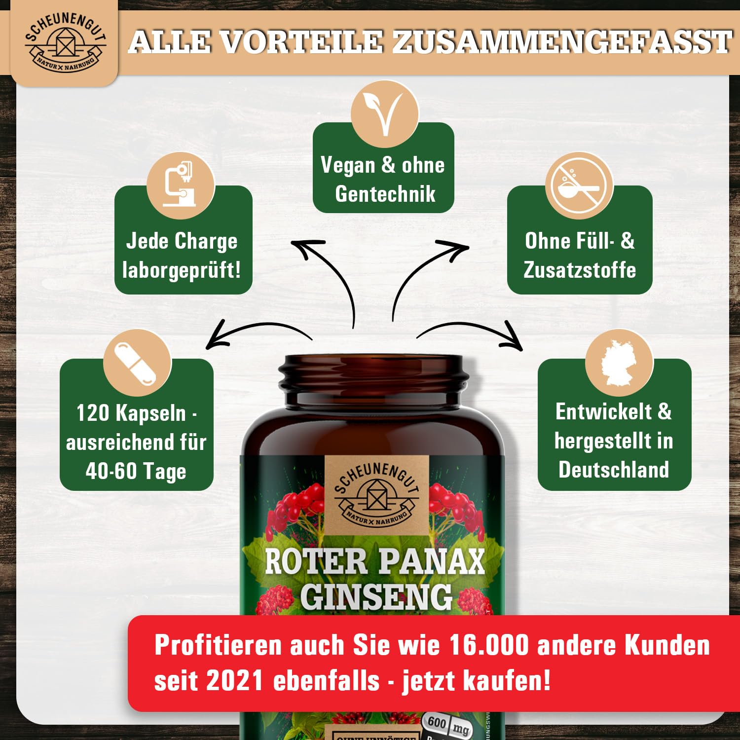 Roter Panax Ginseng Kapseln -Hochdosiert- 20% Ginsenoside DE SCHEUNENGUT® | WICHTIG: 20:1 Roter Panax Extrakt (=36000mg Ginsengwurzel je Tagesdosis) - Ginseng Kapseln Hochdosiert- Vegan