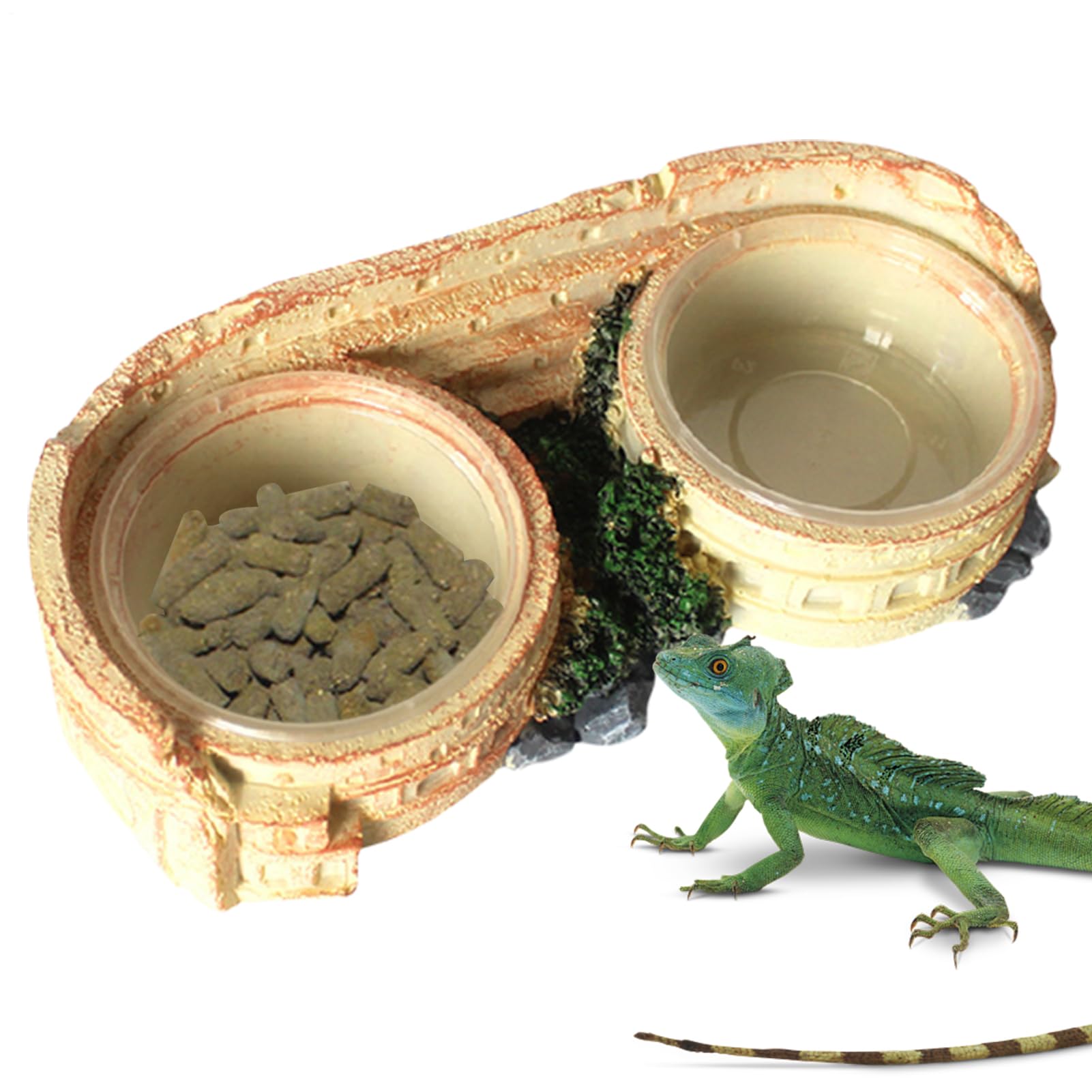 Gamelle pour lézard et serpent, l'abreuvoir idéal pour terrarium naturel