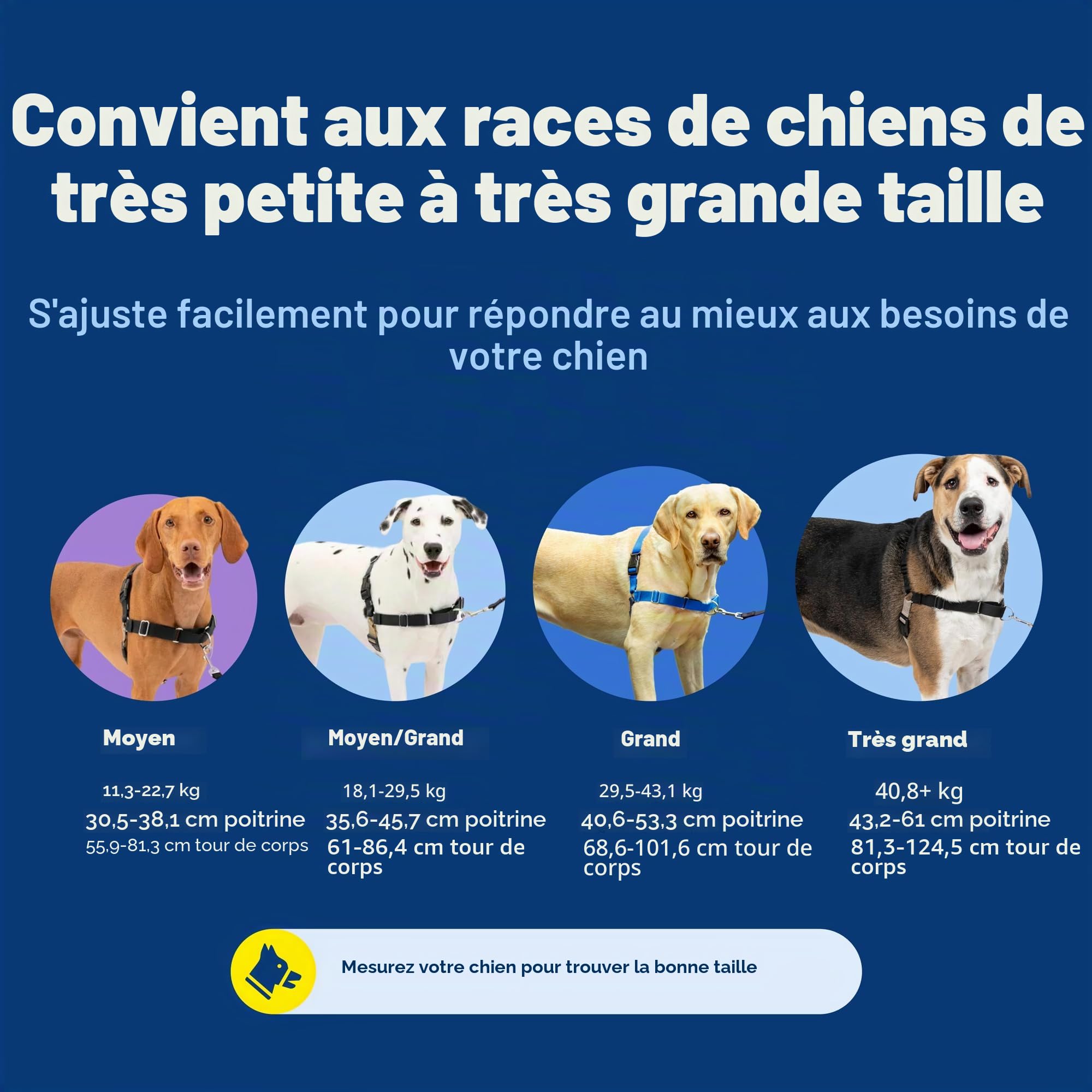 PetSafe Easy Walk Harnais anti-traction pour chien – Le harnais ultime pour aider à arrêter de tirer – Prenez le contrôle et enseignez de meilleures manières de la laisse – Aide à empêcher les animaux