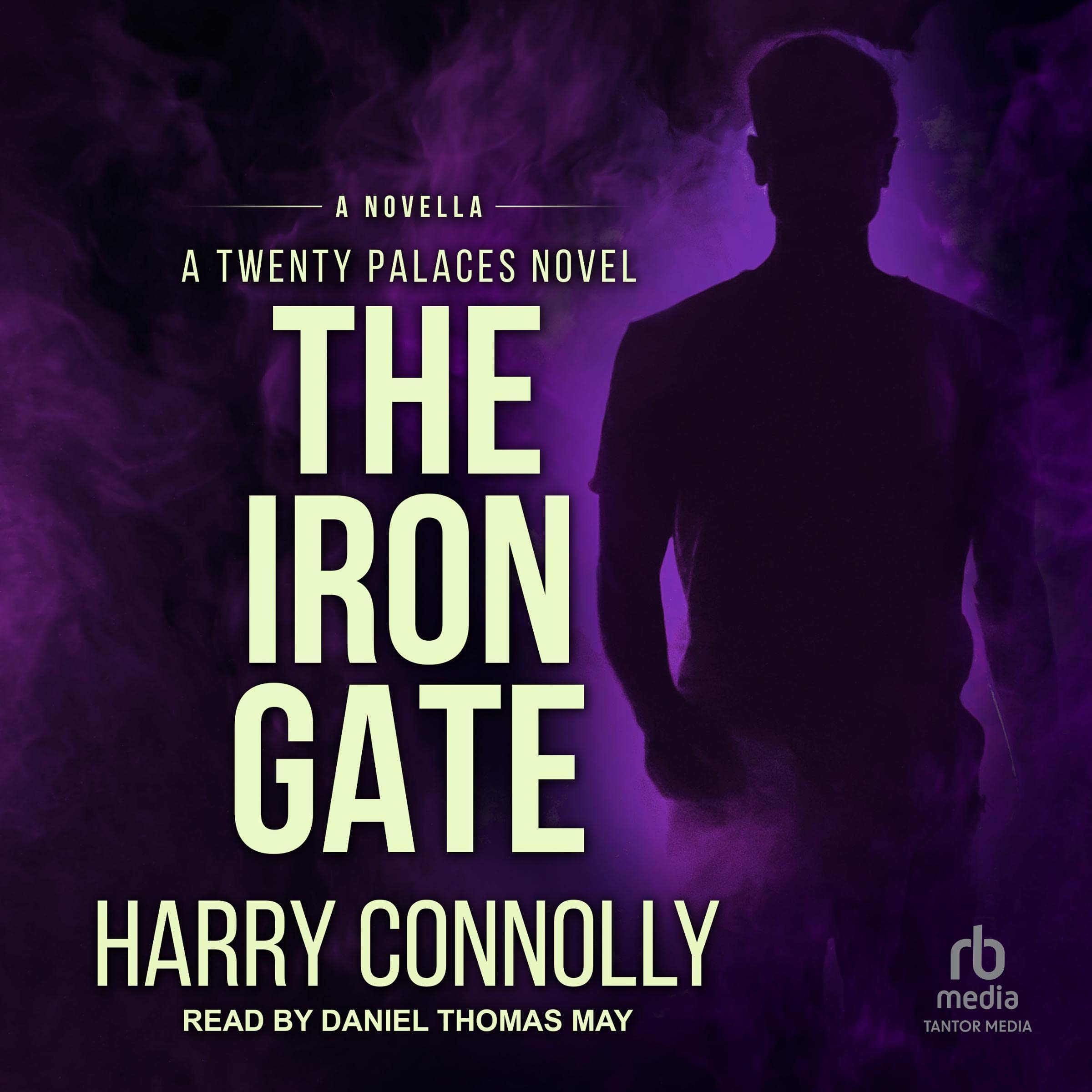 Cover art for The Iron Gate