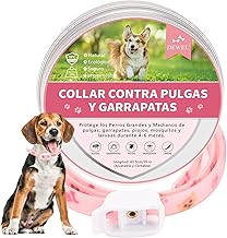DEWEL Anti-parasitic Dog Collar, Flea, Tick and Mosquito Collar, Anti-Flea Collar for Dogs and Cats 6-8 Months, Collar for Dogs and Cats (Pink, M)