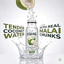Pluckk Tender Coconut Water with Real Malai Chunks - Pack of 6 (200mL Each) | Rich in Electrolytes, Vitamins & Minerals | No Added Sugar | No Concentrates | 100% Pure and Natural - 1200mL gallery image