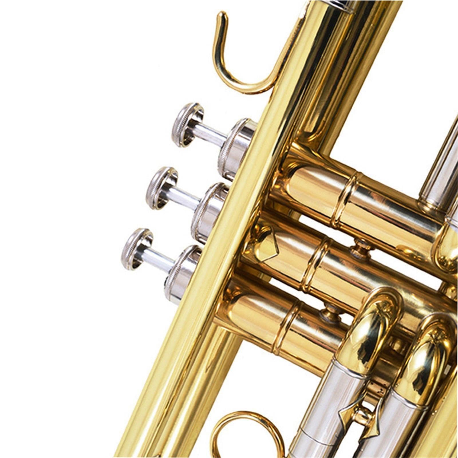 Adult Trumpet Trompette en si bémol pour débutant