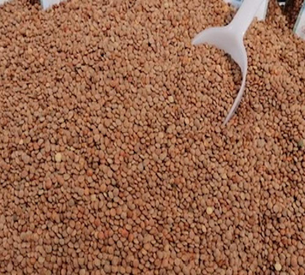 Lenticchie di Ustica Kg.1,80 (4 sacchetti da 450 gr.cadauno) Tenerissime