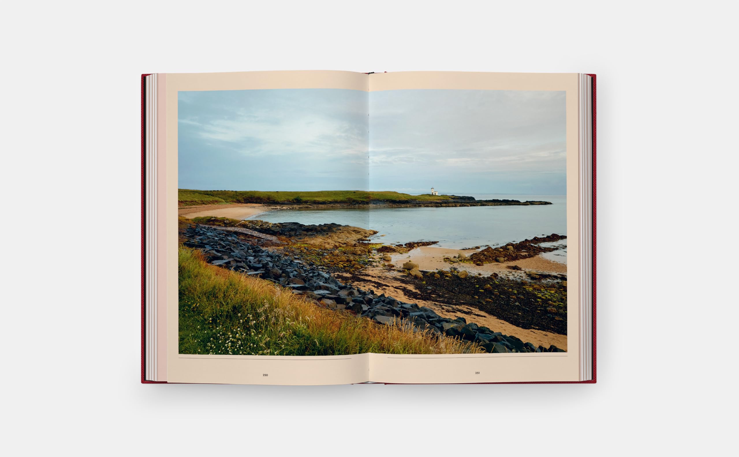 Le livre de la cuisine British