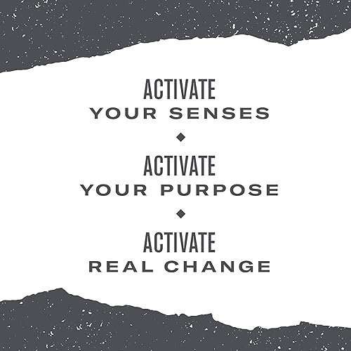 Miniatura 6 de Numi - Té orgánico chai dorado, 18 unidades (paquete de 3)