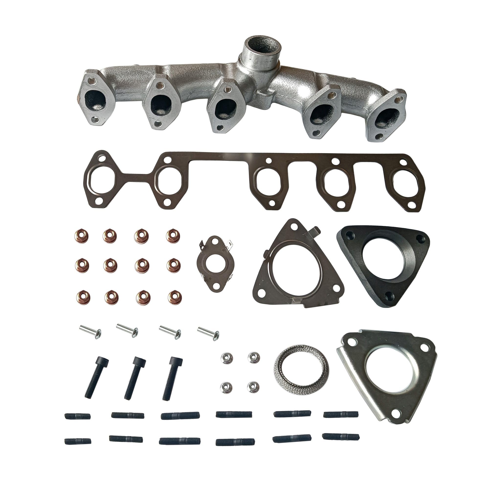 Hajus 2531003 Abgaskrümmer Krümmer Kompatibel mit VW Multivan V Touareg Transporter V T5 2.5L Diesel 2003-2010