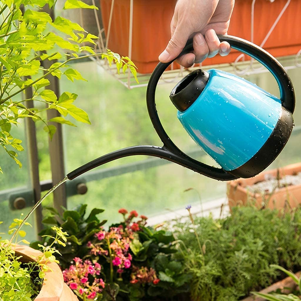 Arrosoir à long goulot pour extérieur, intérieur, jardin, cuisine, maison, fleurs, herbe, bonsaï, légumes, graines, semis, pot d'arrosage (bleu)