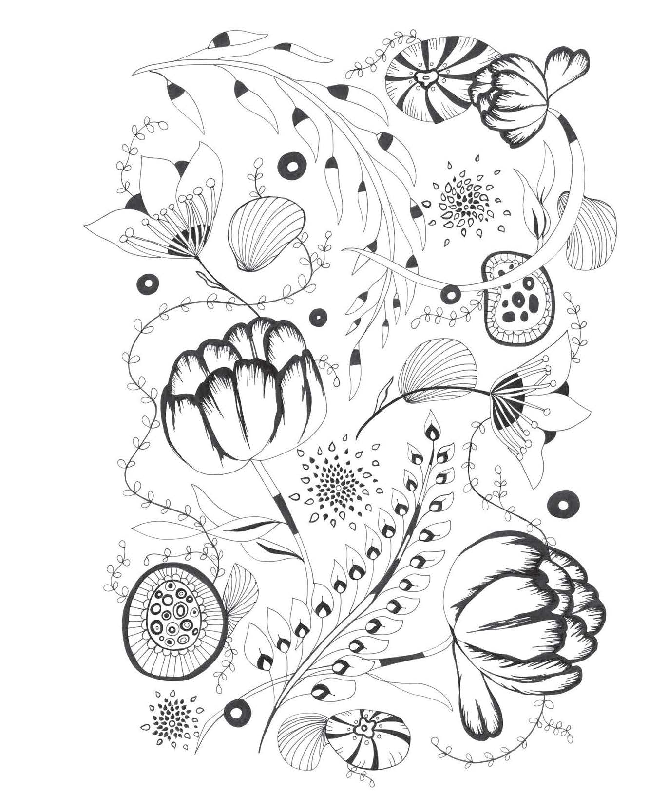 Botanical Wonderland: A Blissful Coloring Retreat (Coloring Wonderland)