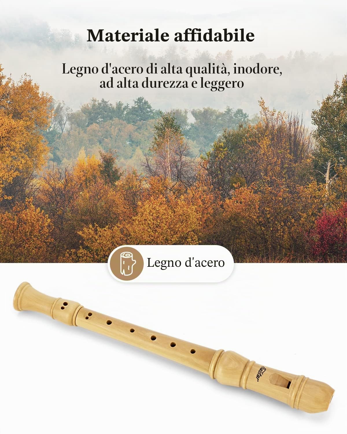 Eastar Flauto Dolce Soprano Tedesco in Legno di Acero, 3 Pezzi con Custodia Rigida e Kit Pulizia, per Adulti e Bambini, ERS-31GM