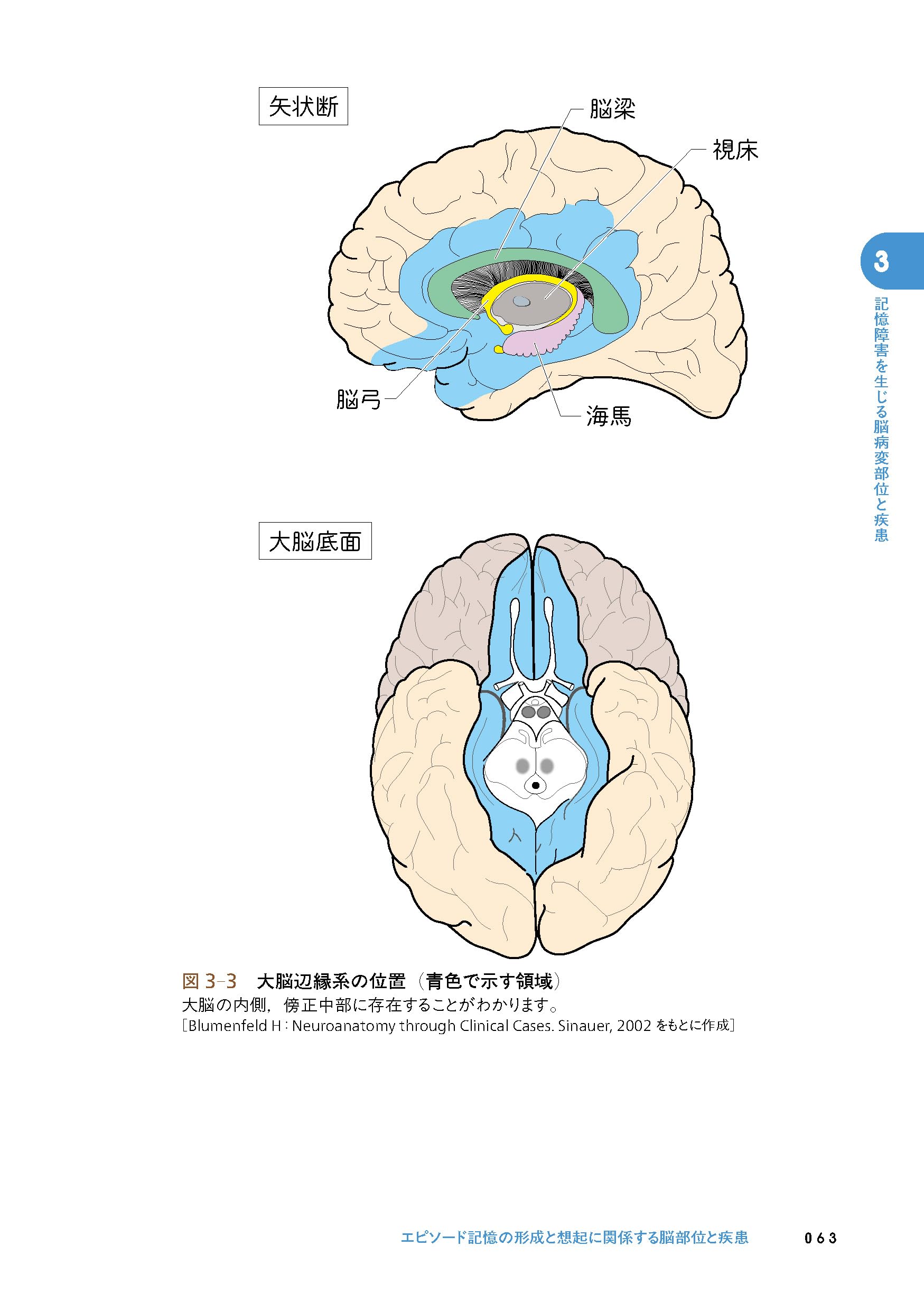 ＭＲＩ脳部位診断／河村満(著者) Amazon.co.jp: 河村 満: 本、バイオグラフィー、最新アップデート
