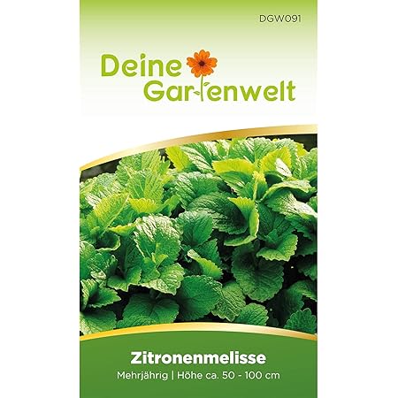 Zitronenmelisse Samen mehrjährig | Saatgut für Melissa officinalis | Kräutersamen