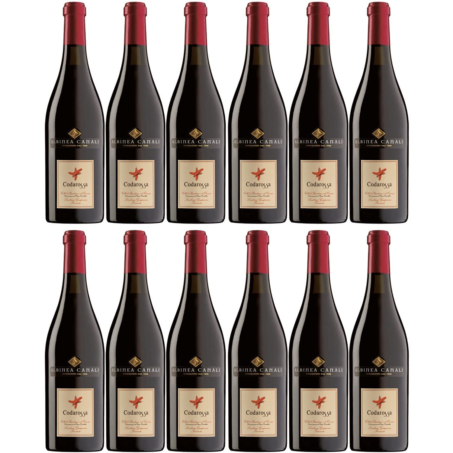Lambrusco Grasparossa DOC Codarossa Rotwein Wein lieblich Italien I Visando Paket (12 x 0,75l)