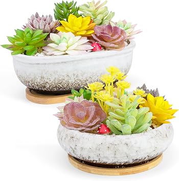 ARTKETTY Succulent Plant Pot - Large Ceramic Bonsai Pot with Drainage Tray, 1 Rectangle Planter + 1 Round Plant Pot for Indoor Cactus Flower Plants Decorative Garden Home