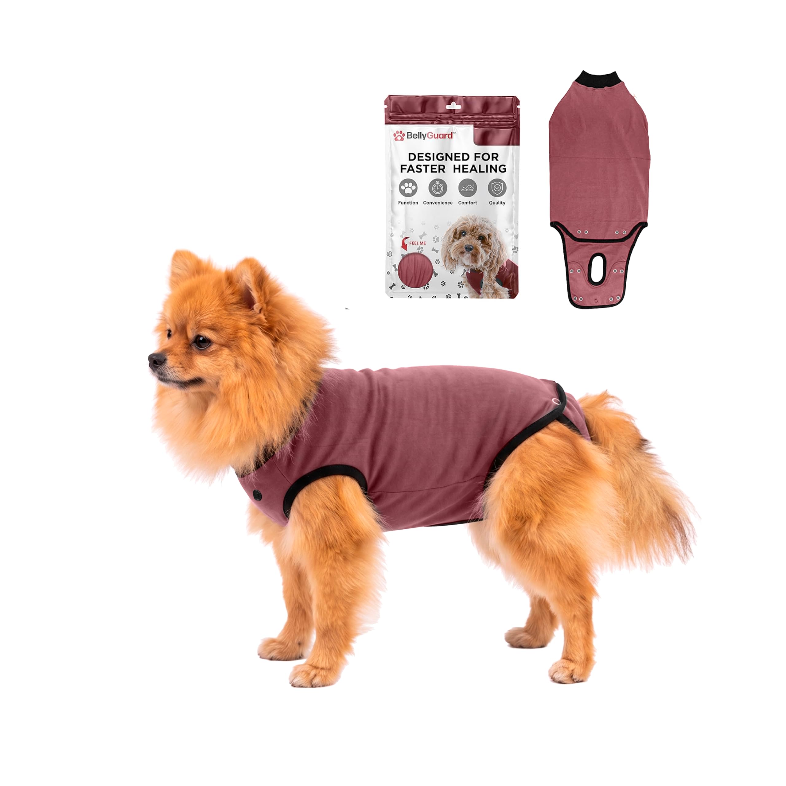 BellyGuard Dog Surgery Recovery Suit, Male Female After Spay Neuter Onesie
